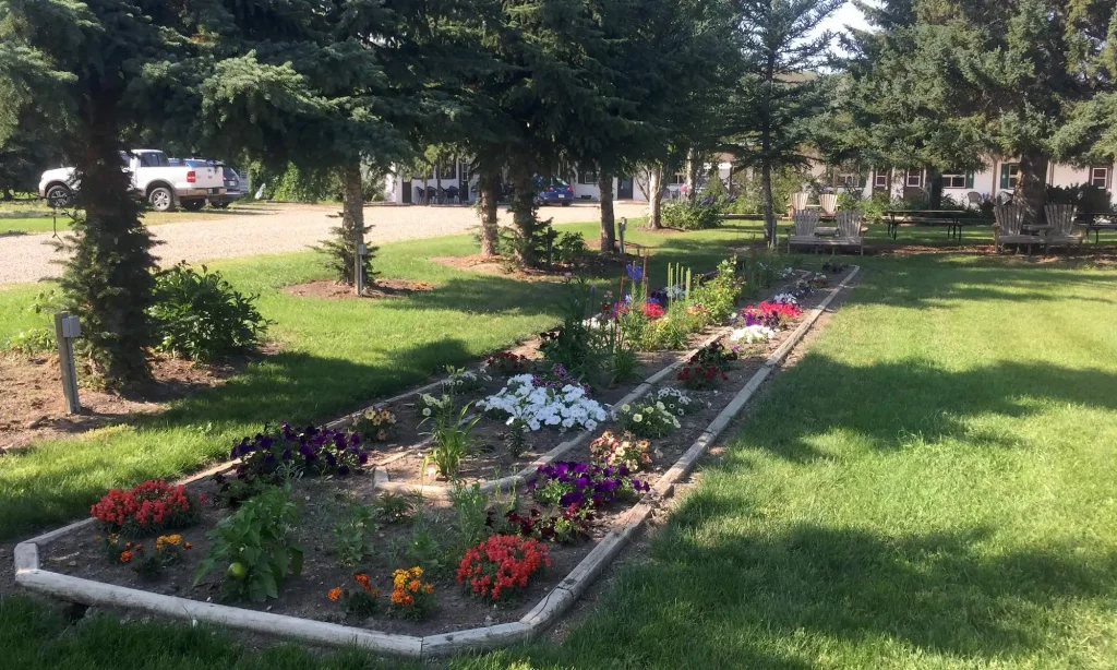 Motel Butterfly-Bee Garden 2019