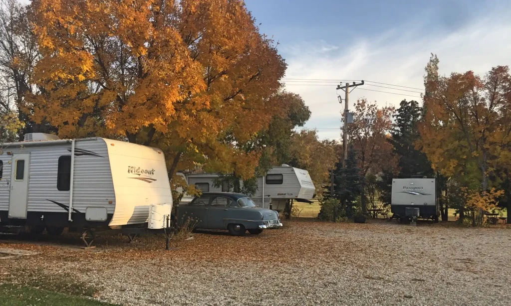 Fall leaves carpet RV Park 2022